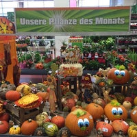 10/22/2014 tarihinde Stefan F.ziyaretçi tarafından OBI Bau- und Heimwerkermärkte Systemzentrale GmbH'de çekilen fotoğraf