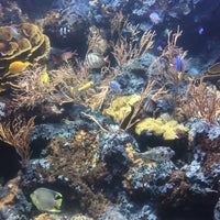 Photo taken at Underwater World And Dolphin Lagoon by Mr J. on 8/16/2015