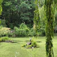Photo taken at Teich im Ernst-Thählmann-Park by Tania G. on 6/19/2023