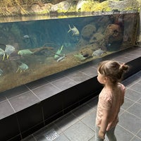 Foto scattata a Aquarium Berlin da Tania G. il 8/21/2023