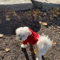 Photo taken at Magnuson Park Off-Leash Dog Park by Shreya L. on 10/27/2019