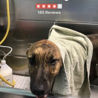 Photo taken at Dunk&amp;#39;n Dogs Dogwash and Professional Grooming by Vanessa H. on 10/2/2018