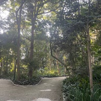 Photo taken at Parque Tenente Siqueira Campos (Trianon) by Vasily S. on 4/21/2023