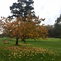 Photo taken at Golden Gate Park by Daria S. on 12/12/2016