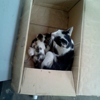 Review R&D Sanbe Farma