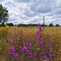 Photo taken at Woolwich Common by Sacha on 6/21/2020