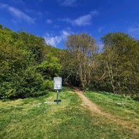 Photo taken at Bostall Woods by Sacha on 4/13/2020