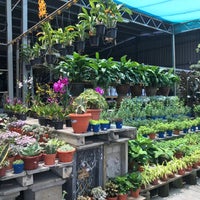 Seng Huat Plant Nursery Garden Center
