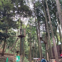 Forest Adventure Hakone フォレストアドベンチャー 箱根 4 Tips Forest Adventure Hakone フォレストアドベンチャー 箱根 4 Tips