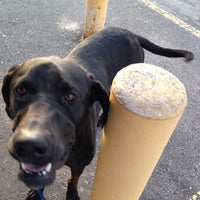 Cedar Valley Humane Society 3 Tips From 90 Visitors