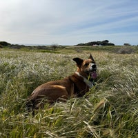 Photo taken at Fort Funston by Mia M. on 4/7/2024