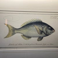4/4/2021 tarihinde Eugene K.ziyaretçi tarafından Devon Seafood Grill'de çekilen fotoğraf