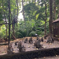 Photo taken at Sacred Monkey Forest Sanctuary by 🦉Harun🦉 on 4/29/2024