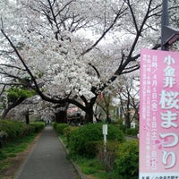 小金井公園西口 Park In 小金井