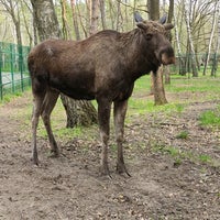 Photo taken at Белгородский зоопарк by fotosaver on 5/2/2021