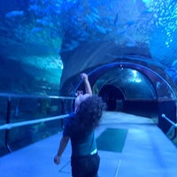 Photo taken at Aquarium by Kathya C. on 4/8/2024