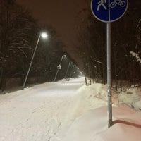 Photo taken at Комитетский лес by blunt on 2/12/2021