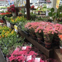 コーナン 川西平野店 259 Ziyaretci