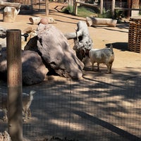 Photo taken at Reid Park Zoo by Aaron R. on 10/30/2021