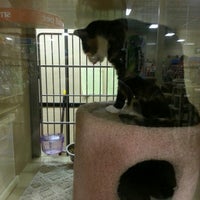 petsmart green acres