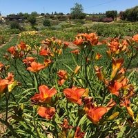 Photo taken at Amador Flower Farm by WJ M. on 6/4/2017