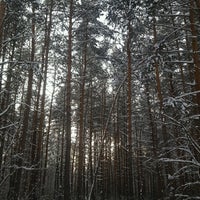 Photo taken at Черняевский лес by Vladimir P. on 12/29/2020