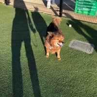 Photo taken at west hollywood dog park by Sean F. on 4/18/2018
