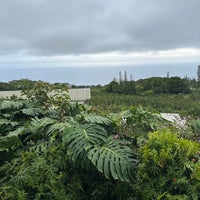 4/14/2024 tarihinde Grace P.ziyaretçi tarafından Heavenly Hawaiian Farms'de çekilen fotoğraf
