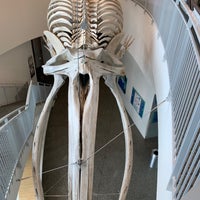 Photo taken at University of Alaska Museum of the North by Grace P. on 8/19/2022