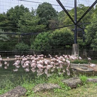 Photo taken at Flamingo by asapoka 4. on 9/19/2020