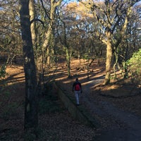 Photo taken at Queen&amp;#39;s Wood by Sophia V. on 12/4/2016