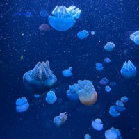Foto diambil di National Aquarium oleh Joshua pada 3/14/2024
