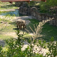 Photo taken at Elephant Trails Exhibit by Joshua on 4/29/2022