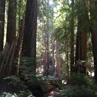 Photo taken at Mount Tamalpais State Park by Michael on 6/26/2016