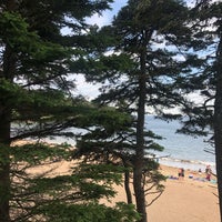 Sand Beach - Acadia National Park