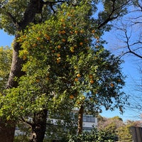 Photo taken at Kiyomizu Kannon-do by Pinky K. on 1/29/2024