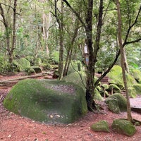Photo taken at Parque Estadual Alberto Löfgren (Horto Florestal) by Jennifer M. on 3/20/2022