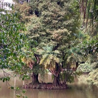 Photo taken at Parque Estadual Alberto Löfgren (Horto Florestal) by Jennifer M. on 3/20/2022