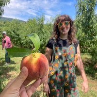 Chiles Peach Orchard - Farm