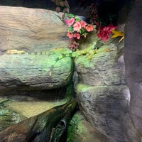 Photo taken at Ripley&amp;#39;s Aquarium by Que F. on 8/26/2022