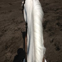 club hipico tepepan 3 tips