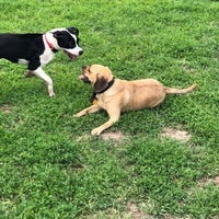 Photo taken at Dyker Dog Park by Lissette C. on 6/24/2018