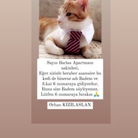 2/19/2021にorhan kızılaslan 🐕🐿🐕 H.がBENCE Dönerで撮った写真