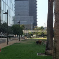 Photo taken at LAPD Lawn Dog Park by Flora Z. on 7/31/2016