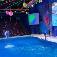 Foto scattata a Dubai Dolphinarium da It&#39;s S. il 10/29/2020