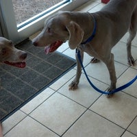 Photo taken at Foster Animal Clinic at Parkway Commons by Gerard S. on 7/26/2013