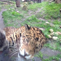 Miejski Ogrod Zoologiczny Nowa Praga Warschau Woiwodschaft