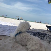 Photo taken at Honeymoon Island State Park Pet Beach by Ricky G. on 6/17/2018