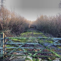 Photo taken at Walthamstow Nature Reserve Bird Hides by Chris B. on 12/29/2013