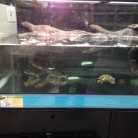 Photo taken at Petco by Jen Y. on 3/9/2014